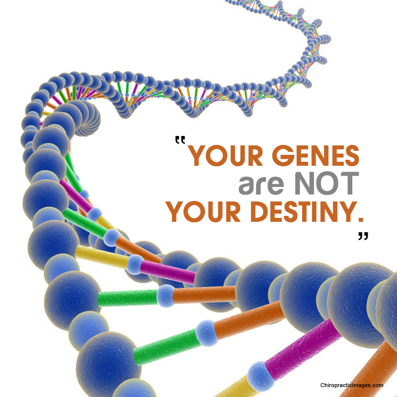 your genes are not your destiny