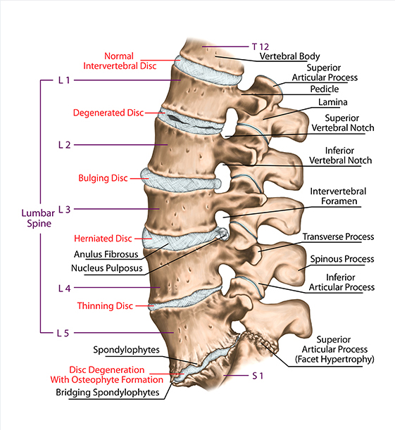 Pain and its cause