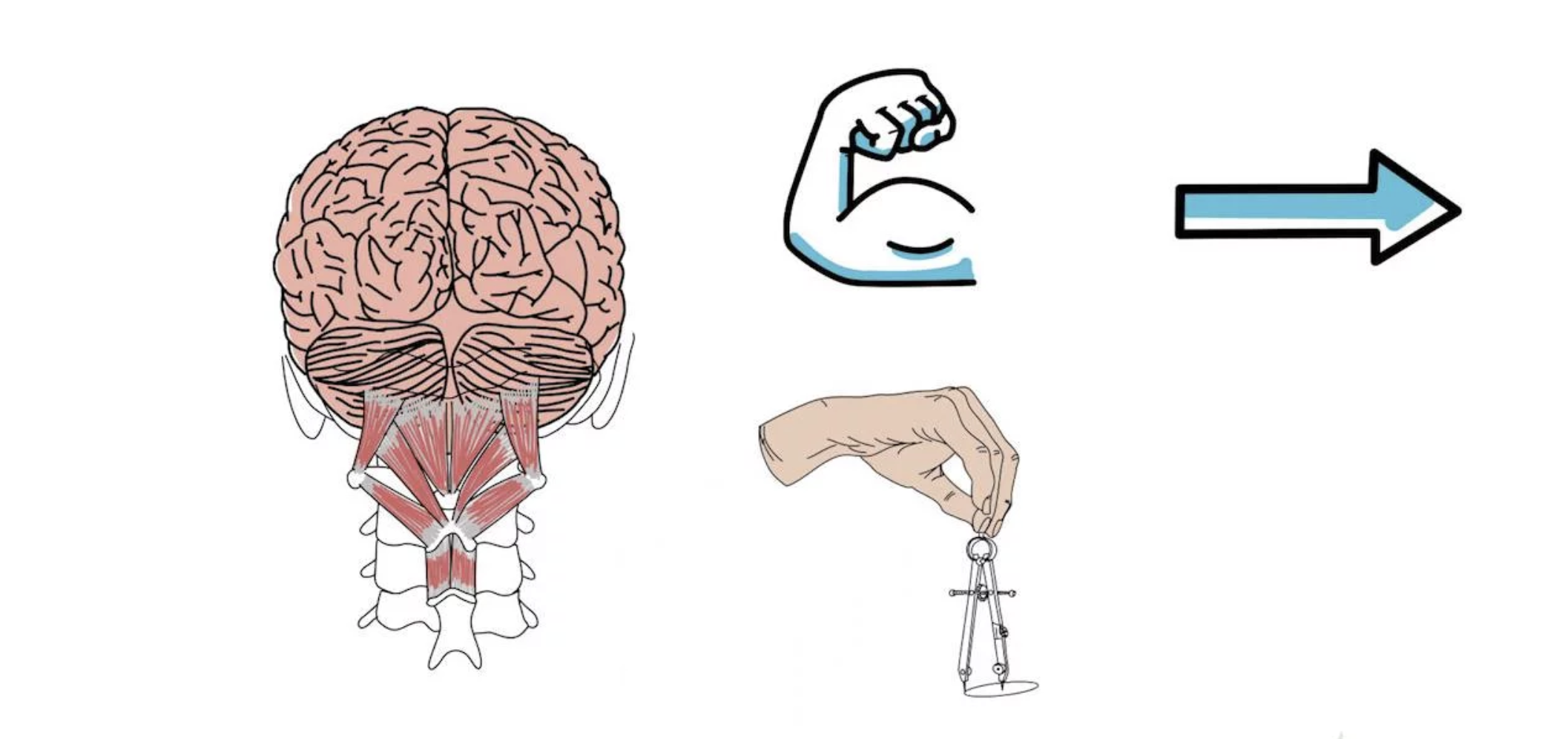 Spinal function impacts brain function